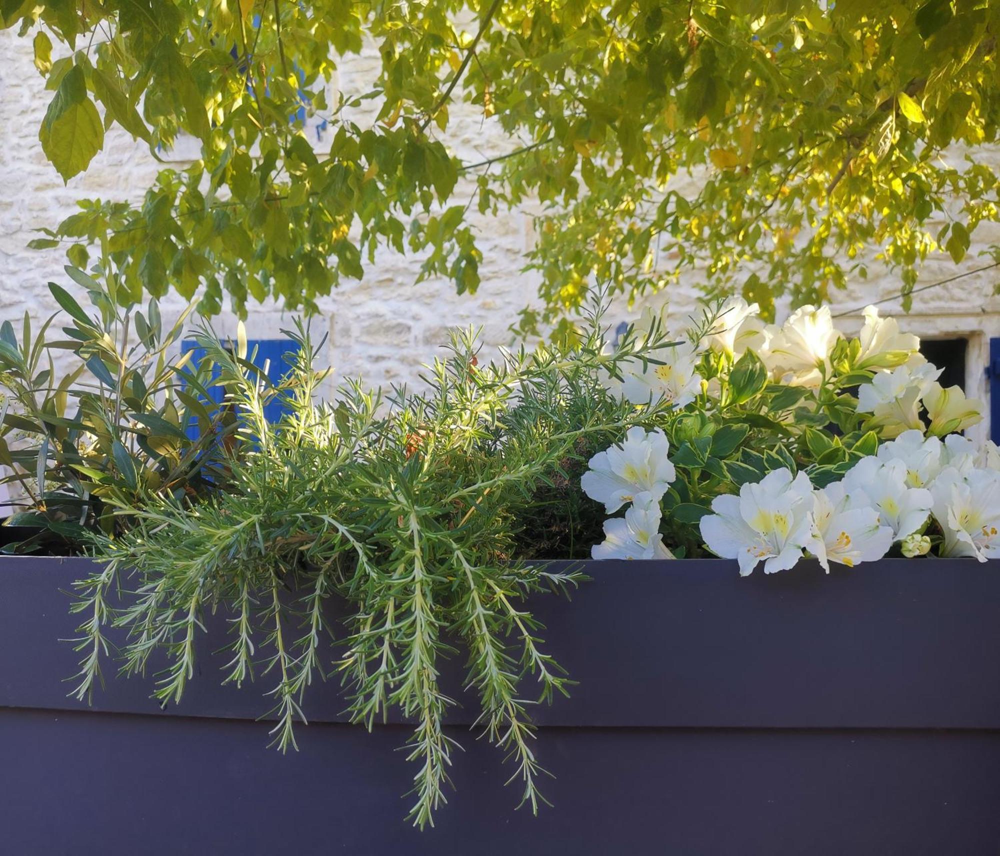 Namaste Home, Votre Havre De Paix A St Remy ! Parking Wifi Inclus Saint-Rémy-de-Provence Exterior foto